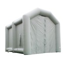 Carpa para pintar
