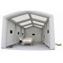 Carpa para pintar