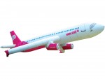 Inflatable Airplane