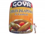 Inflatable Goya Can 